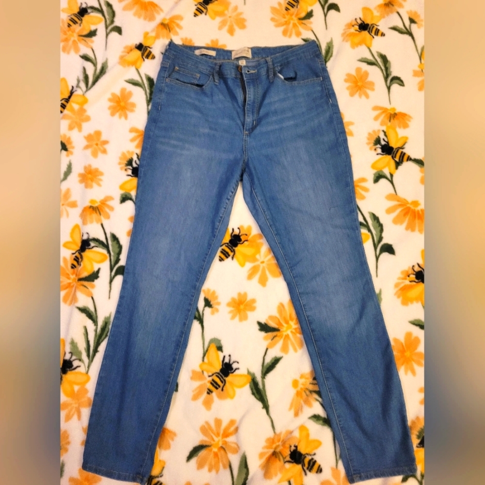 Size 14 skinny jeans from universal thread